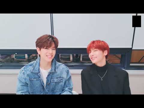 [Stray Kids VLIVE] 2019.04.10 | 막내의 사생활10 (feat.🐶) | #122973