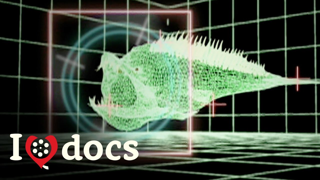 What Kind Of Fish Swallowed Jonah? How Did He Survive? - Swallowed By A Whale - Science Documentary