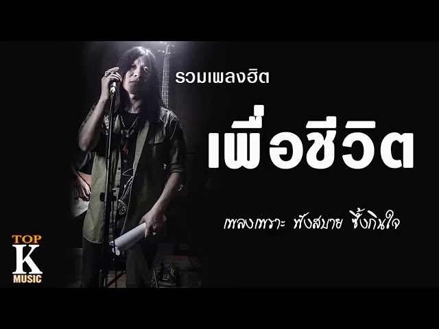 เพลงเพื่อชีวิตเพราะๆ ฟังสบายๆ