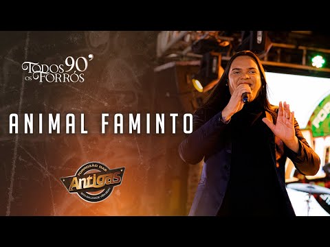 Banda Forrozão das Antigas - Animal Faminto (DVD TODOS OS FORRÓS 90')