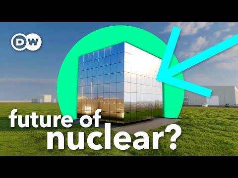 The Promise and Challenges of Small Modular Reactors (SMRs)
