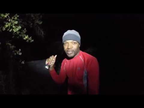 Search for the rattlesnake den