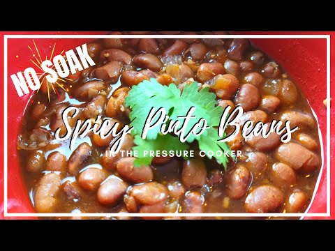 NO SOAK Spicy Pinto Beans in the Ninja Foodi ||...