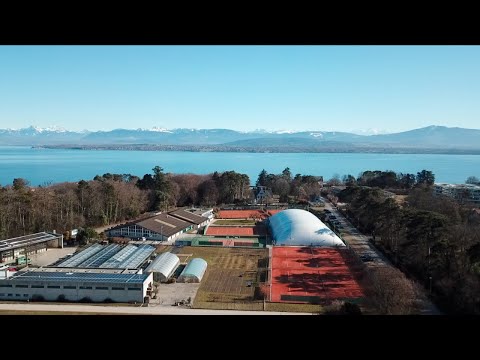 TENNERGIE - Tennis Club Nyon