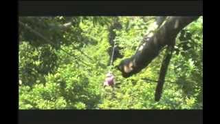 Aerial Trek Zipline Adventure -BARBADOS