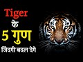 5 Lessons From Tiger | TIGER MENTALITY | Powerful Motivational Video Hindi |