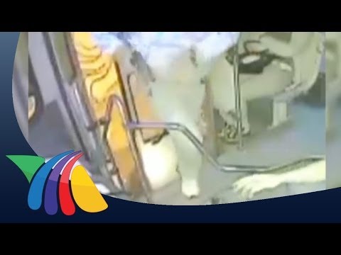 Captan robo a transporte público en Jalisco