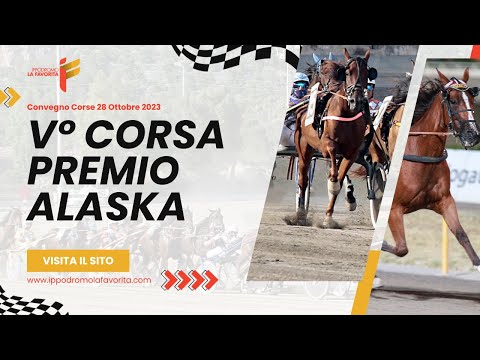 V Corsa del 28 Ottobre 2023 - 3 Anni F. - Metri 1600