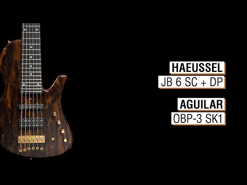 Haeussel JB 6 SC + 6 DP + Aguilar OBP-3 SK1 - Maruszczyk Sputnik 6a-26 34"