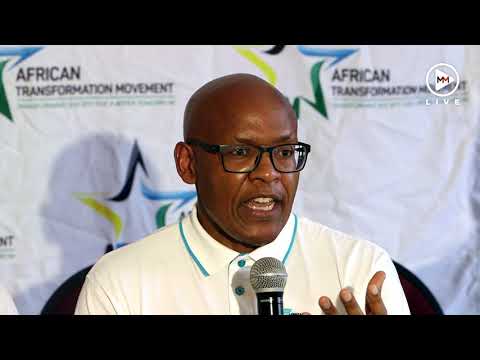 From vendor finance to ATM Mzwanele Manyi announces 'new political home'