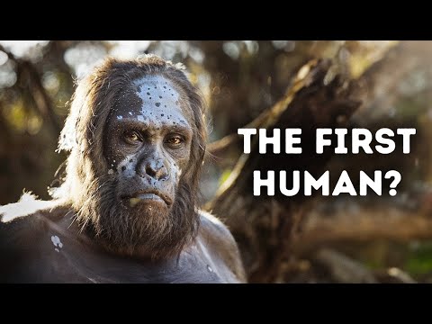 Evolution of Humans Documentary