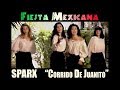 SPARX - "El Corrido De Juanito"