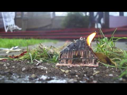 The Maestro (Tim Wynne-Jones) - High School English Project