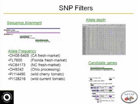 Converting Sequence to SNPs