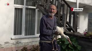Annesinin Yuvadan Attığı Leyleğe, Mahalleli Anne ve Baba Oldu