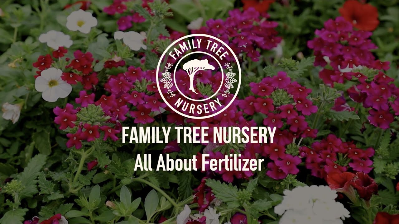 All About Fertilizer