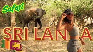 I got WILD in a SRI LANKA SAFARI - KUMANA NATIONAL PARK 🇱🇰🐘🐆
