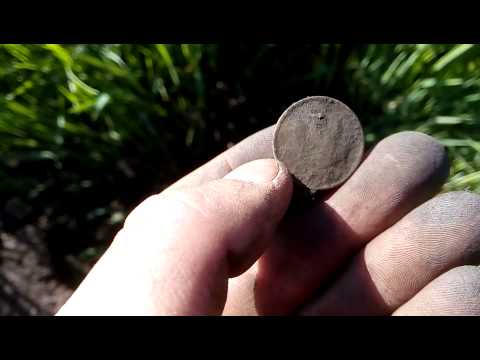 Кладоискатель Курск, Коп с теркой 705, Коп с теркой на советском хуторе