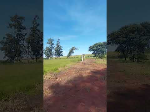 Alguém conhece a Vila Progresso de Centenário do Sul Paraná