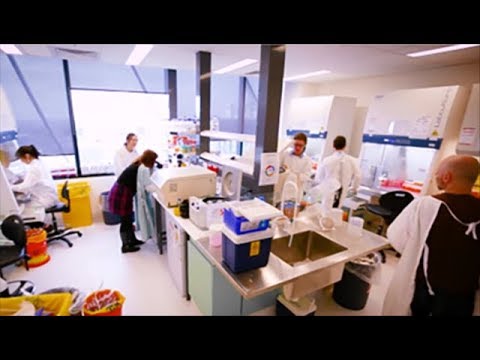 Peter MacCallum Cancer Centre Medical Oncology Department