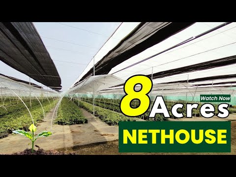Video 6 Thumbnail