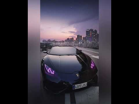 Lil Jon Feat Roy Jones , Jr , Petey Pablo , Chyna Whyte , Jadakiss - Put Yo Hood Up (Crunk Remix)