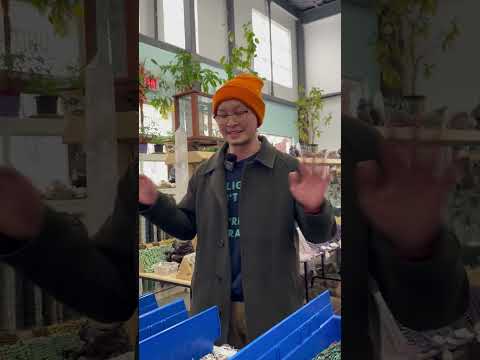 Reza Selection video thumbnail