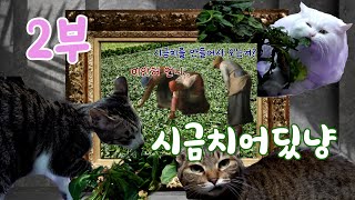 [나는농부다 336회 2부] 뽀빠이 누리 씨의 알콩당콩 시금치 사랑