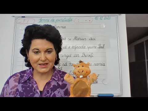 096, Lectii online, CLR, clasa a II-a - Semne de punctuatie - Recapitulare