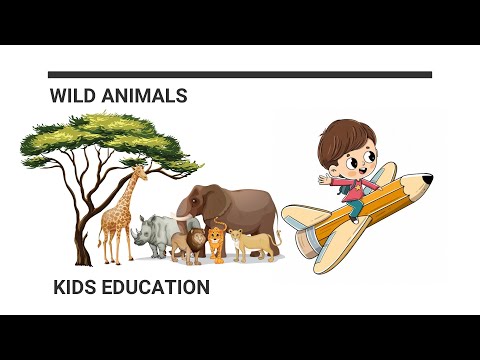 Wild Animals || Kids Education || English Learning || Arifa writes