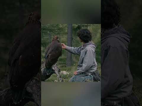 🥹🦅 लड़के ने बाज को आजाद किया, लेकिन सच्ची दोस्ती  #short
