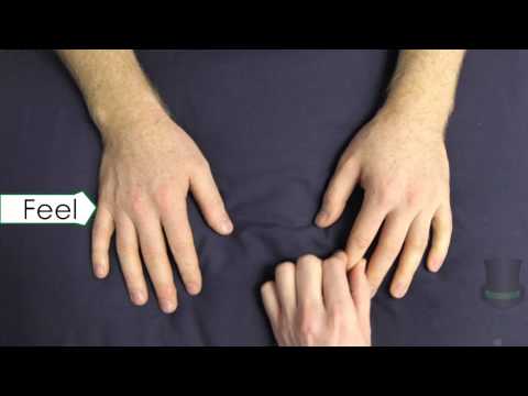 The Rheumatological examination of the Hands