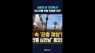 '심판의 날' 다다랐나? 이스라엘 하늘 뒤덮은 이것 #shorts