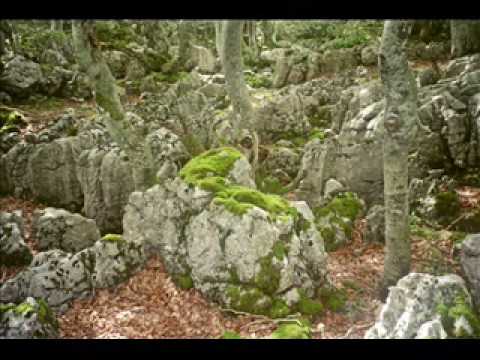 An den kozh dall - Barzaz