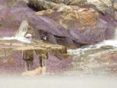 I Geositi del Parco - Le Biancane e Le Roste