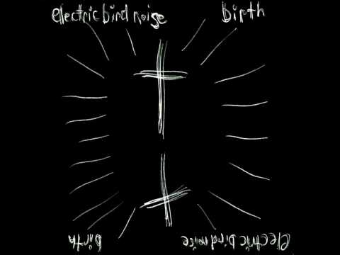 electric bird noise - birth (full album)