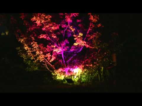 Bachstelzen Open Air Wuhlheide 2009/Schatzstelzen Suchebach, David Dorad, Gianni Vitiello