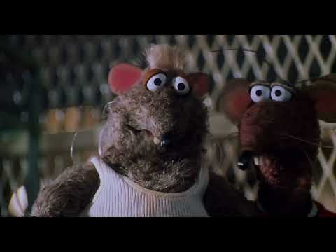 Muppets from Space: Rizzo Meets the Lab Rats