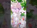 Sant Sarvan Dass Ji Maharaj Ji New Whatsapp Status
