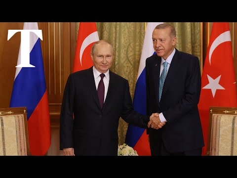 Turkish president meets Putin for urgent talks on grain exports