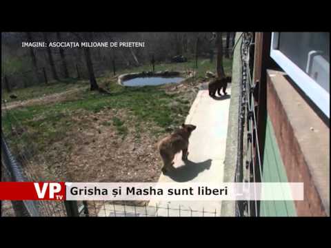 Grisha și Masha sunt liberi