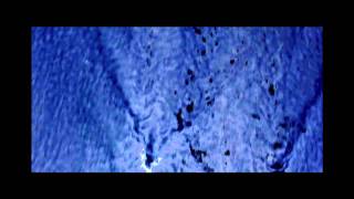 The Only Constant (Is Change)