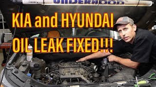 Kia and Hyundai 3.5 oil leak diagnosis and repair