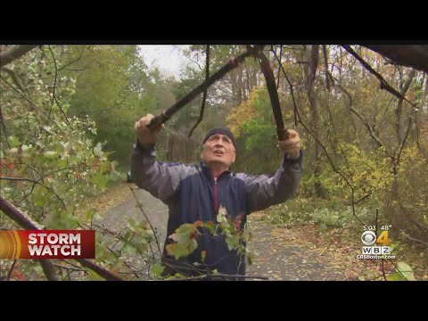Clean Up Efforts Could Take Days With Trees And Power Lines On Cape Cod