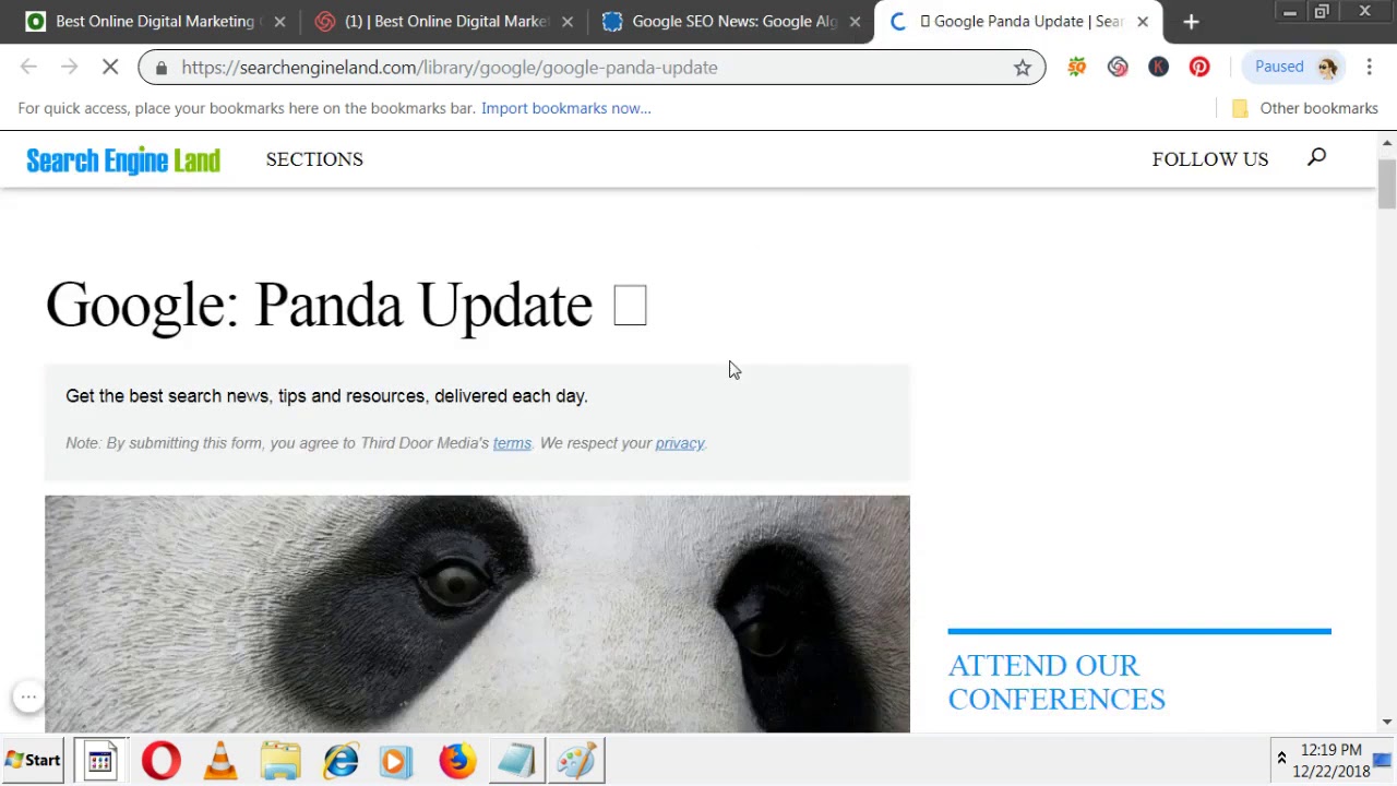 Google Updates   Latest Google Algorithm Updates 2019  Tutorial For Beginners