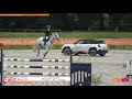 Hongre SF top mental - pr&ecirc;t direct sur 135 