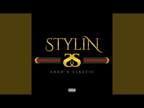 Stylin' (feat. Elaztic)