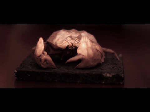 Noia Zombie & Jo Cunda - Inferno -