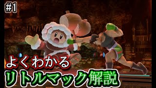【対アイクラ】リトルマックでの対策・立ち回り徹底解説！#1【スマブラSP/ゆっくり実況】