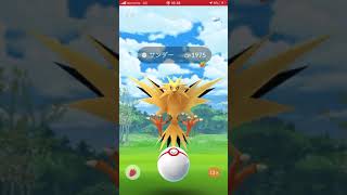 【ポケモンgo 】レイドバトル　vsサンダー